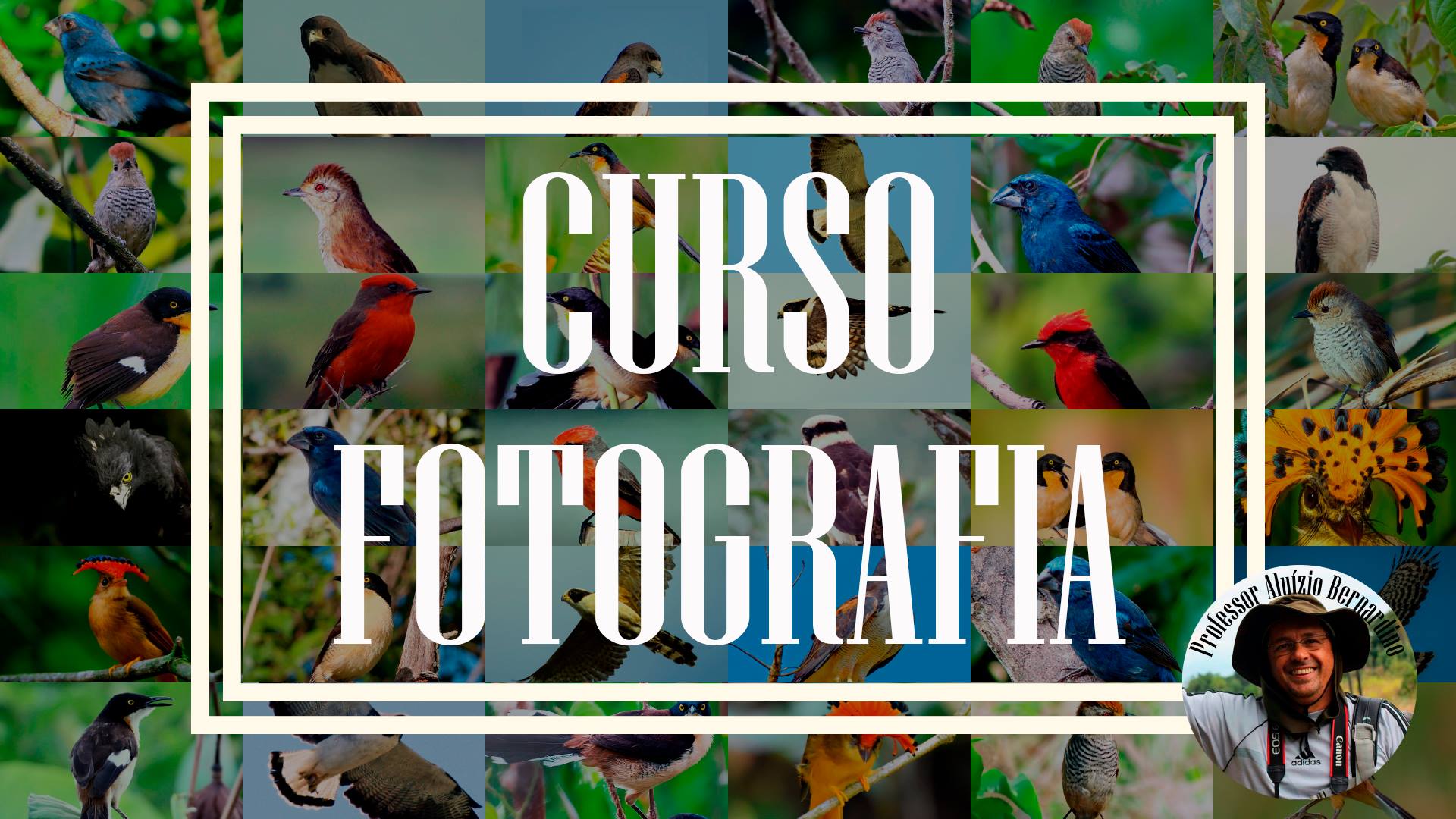 Curso de fotografia