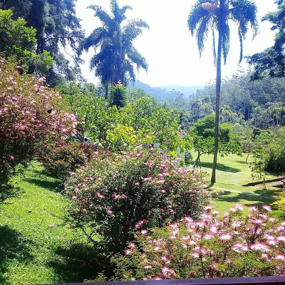 Curso de Jardinagem e Horta Orgânica