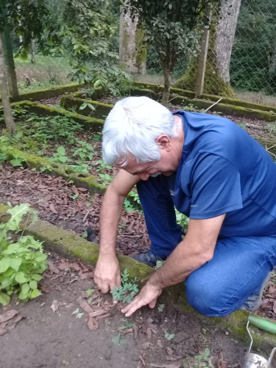 Curso de jardinagem e horta orgânica – Maio de 2019